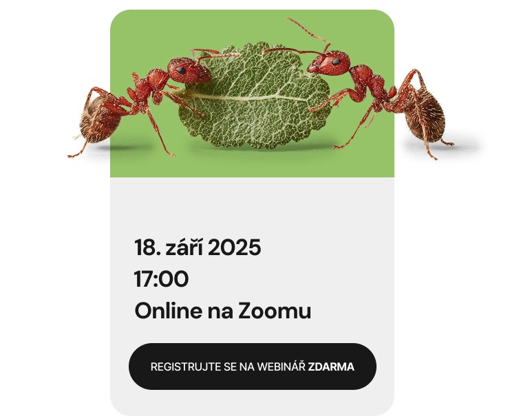 Marketingová agentura- zabývající se Meta ad, Google ads, optimalizaci, strategii, sociálním sítím a veškerému online obsahu